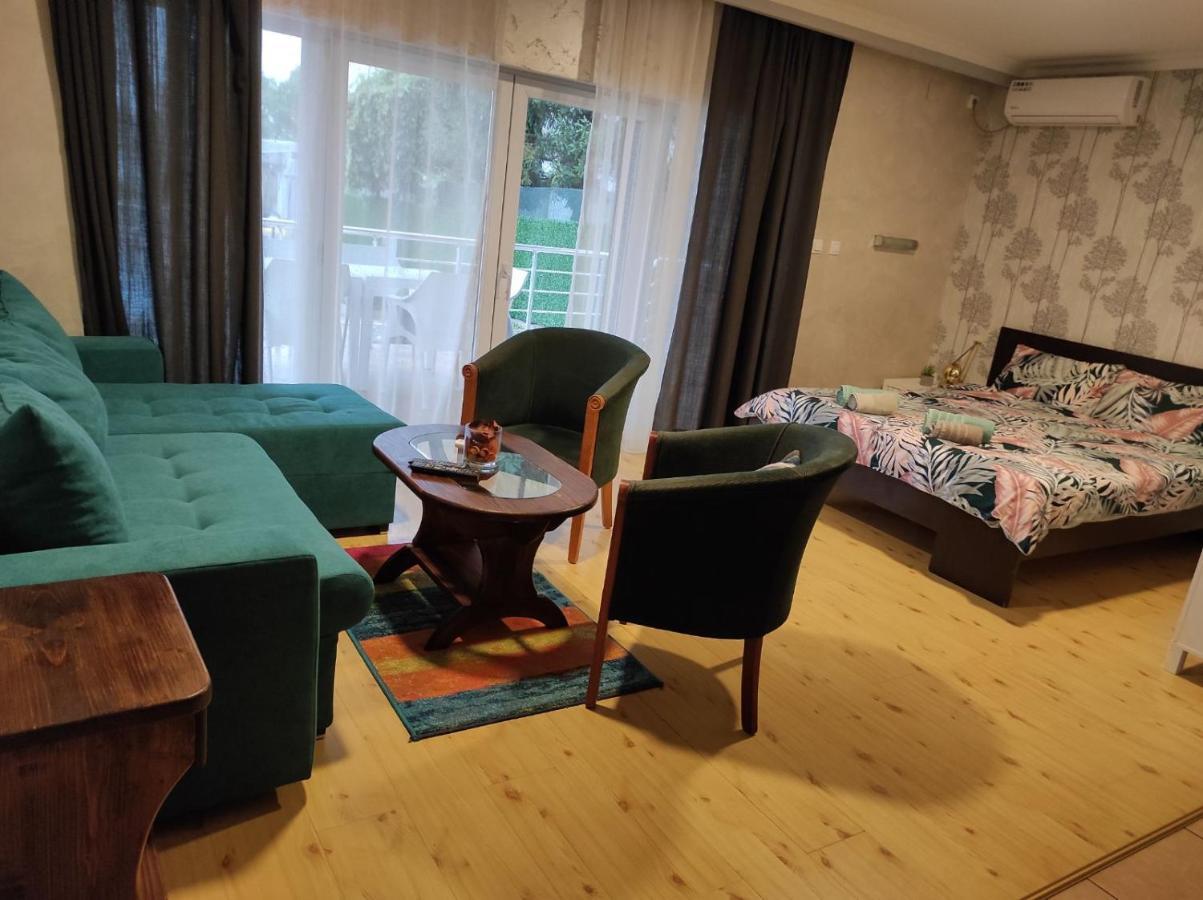سميديريفو Vila Mila Riverside Apartments المظهر الخارجي الصورة