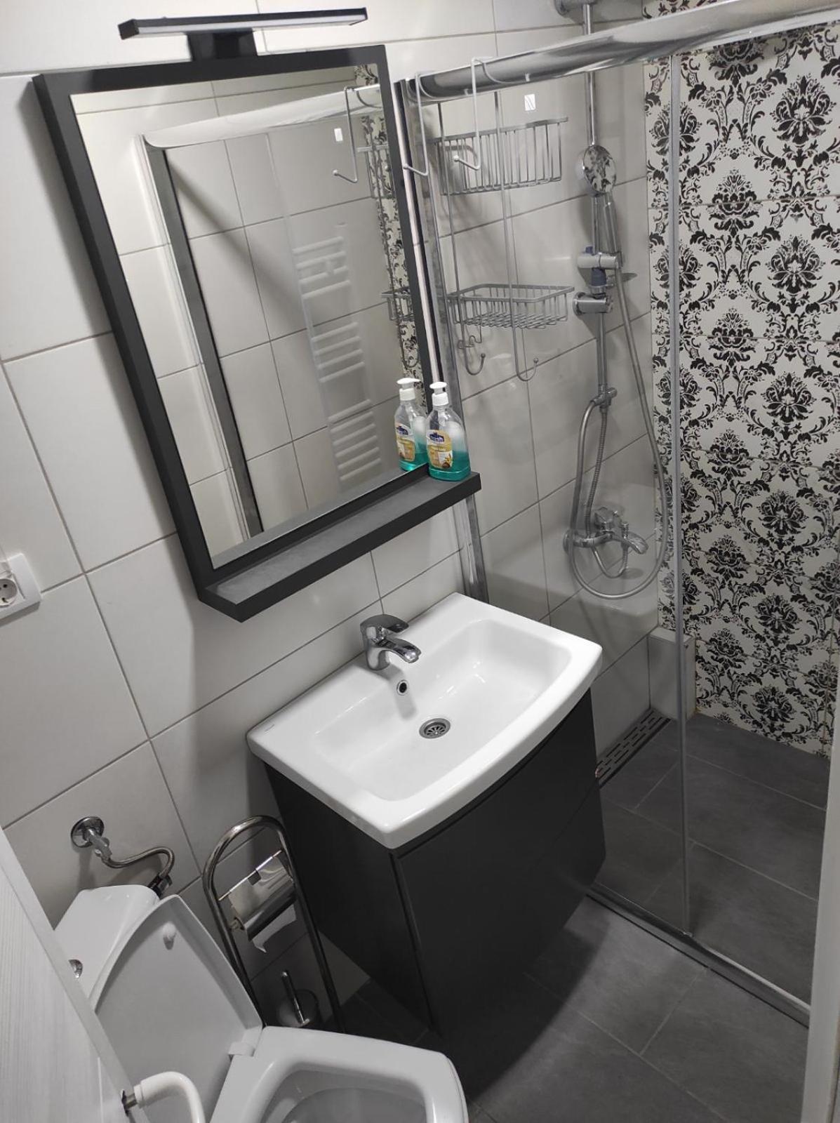 سميديريفو Vila Mila Riverside Apartments الغرفة الصورة