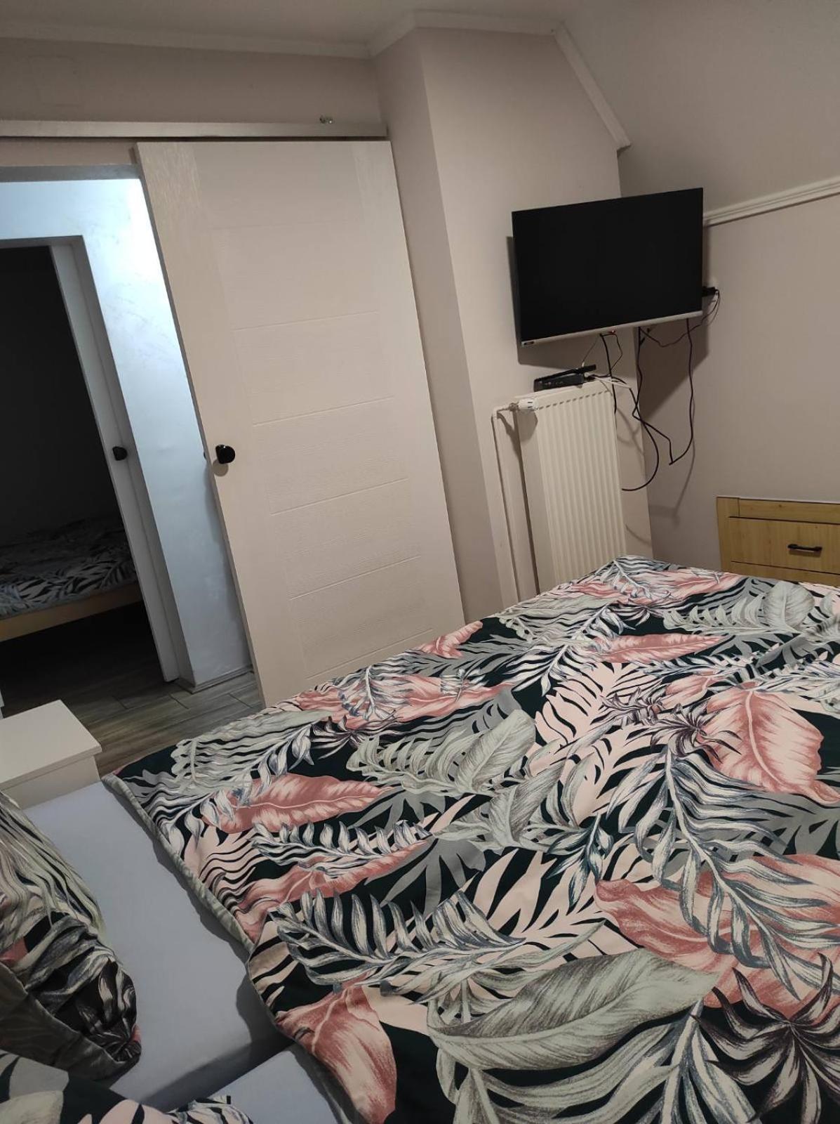 سميديريفو Vila Mila Riverside Apartments الغرفة الصورة