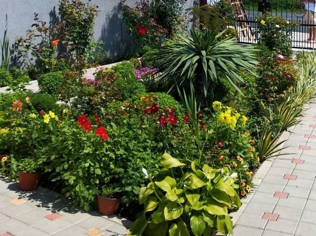 سميديريفو Vila Mila Riverside Apartments المظهر الخارجي الصورة